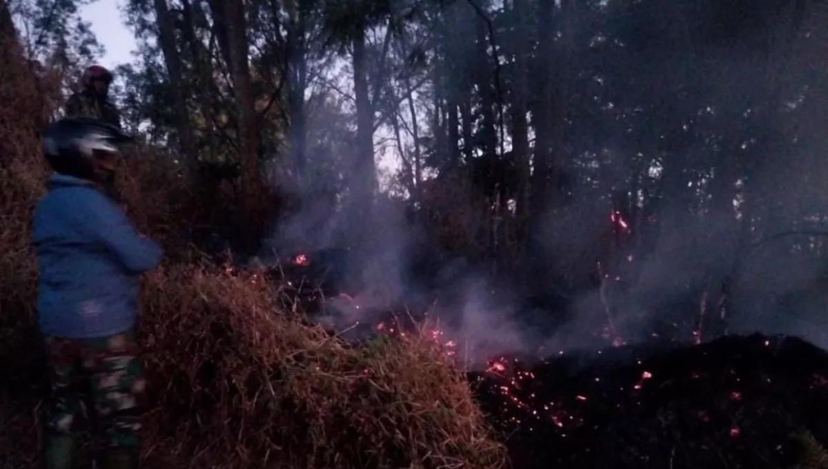 Operasi Pemadaman Bromo Ditutup, Titik Api Baru Sempat Muncul di Blok Bantengan