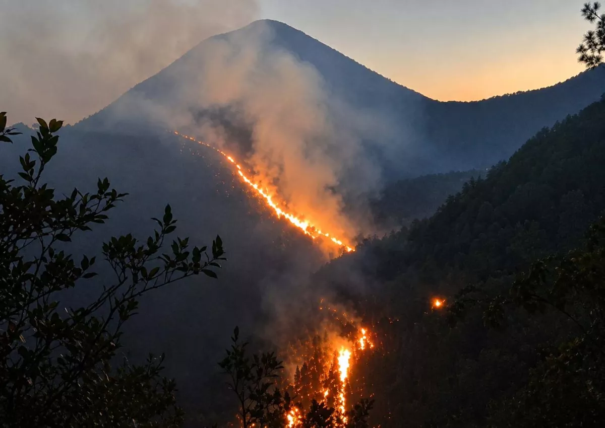 Kebakaran Ranu Kembang Picu Penutupan Total Pendakian Gunung Semeru