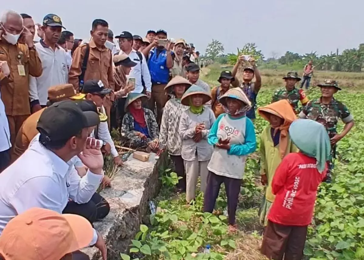 200 Hektare Sawah Gresik Terdampak Kekeringan, Mentan Siapkan Pompa dan Sumur Dangkal
