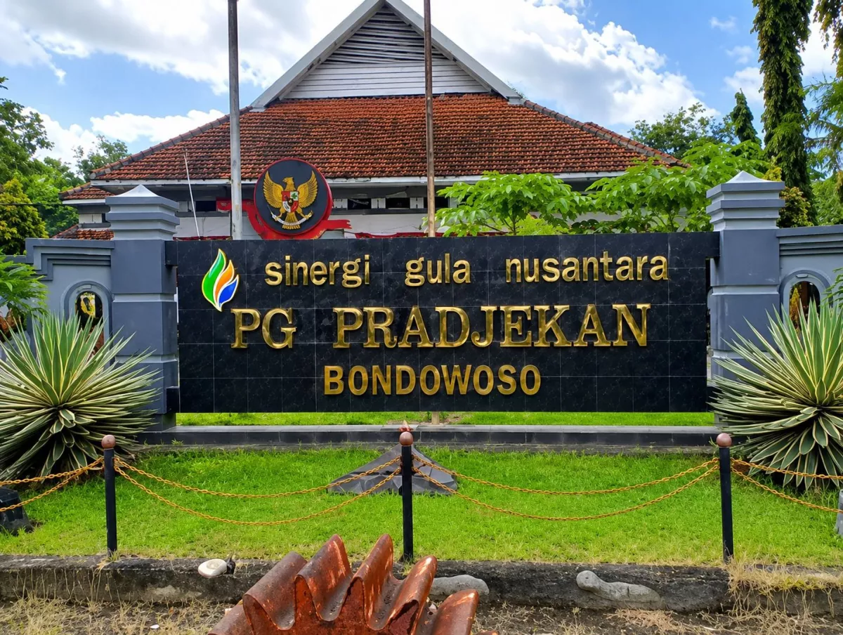 Tebu MBS Jadi Kunci Rendemen Optimal, Petani PG Pradjekan Didorong Jaga Kualitas Panen
