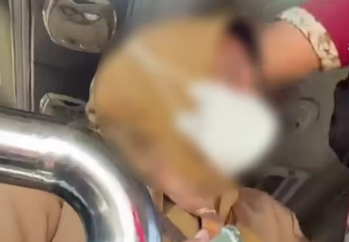 Viral Dugaan Perundungan di Bus, RSUD Ibnu Sina Gresik Turun Tangan Lakukan Klarifikasi